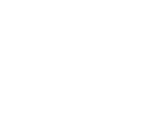 Logo Nefia Blanc